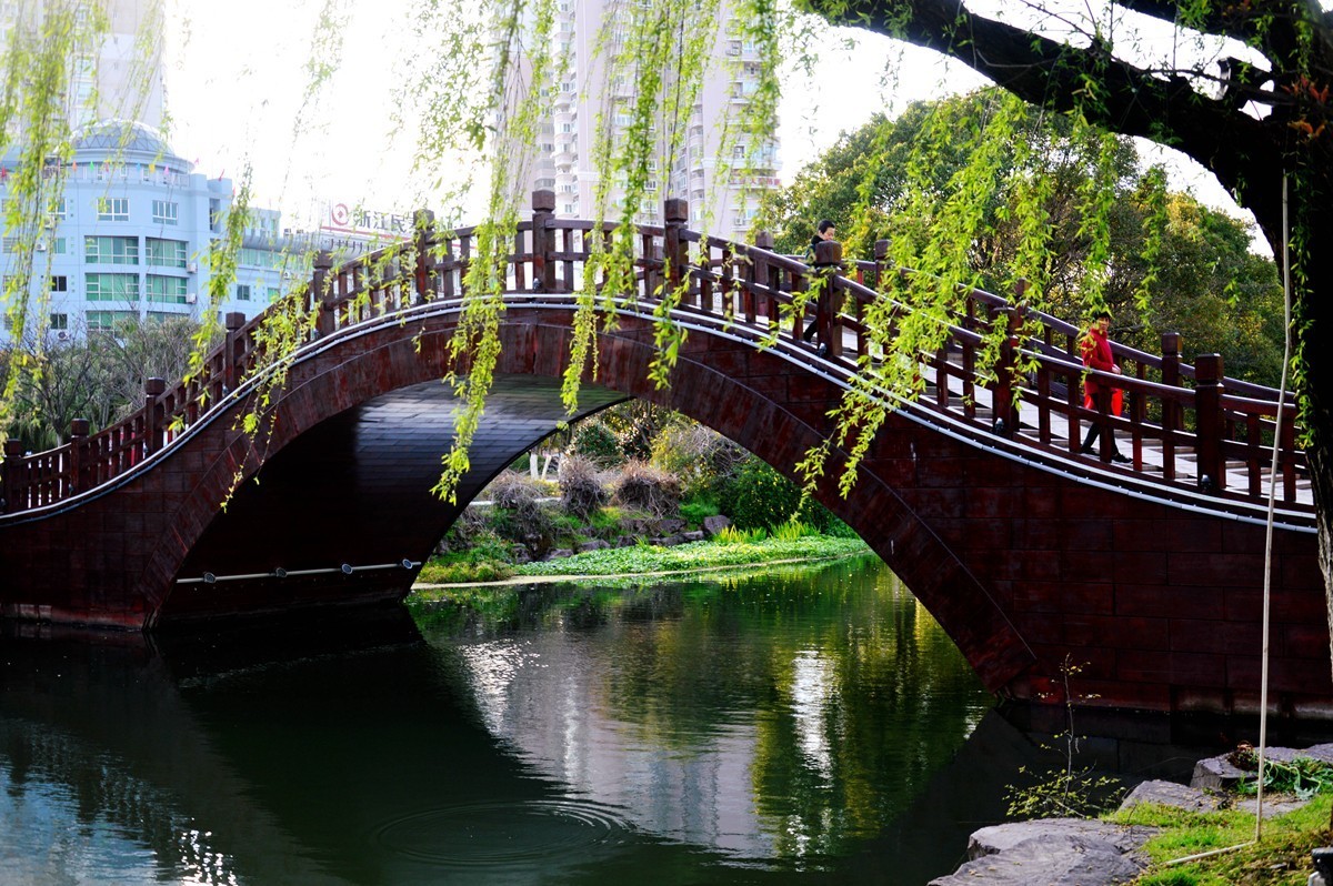 春风杨柳万千条