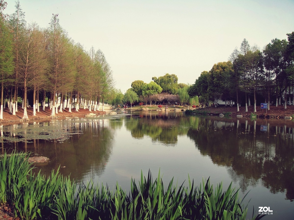 退出器材党，用手机党不屑的卡片老机扫景