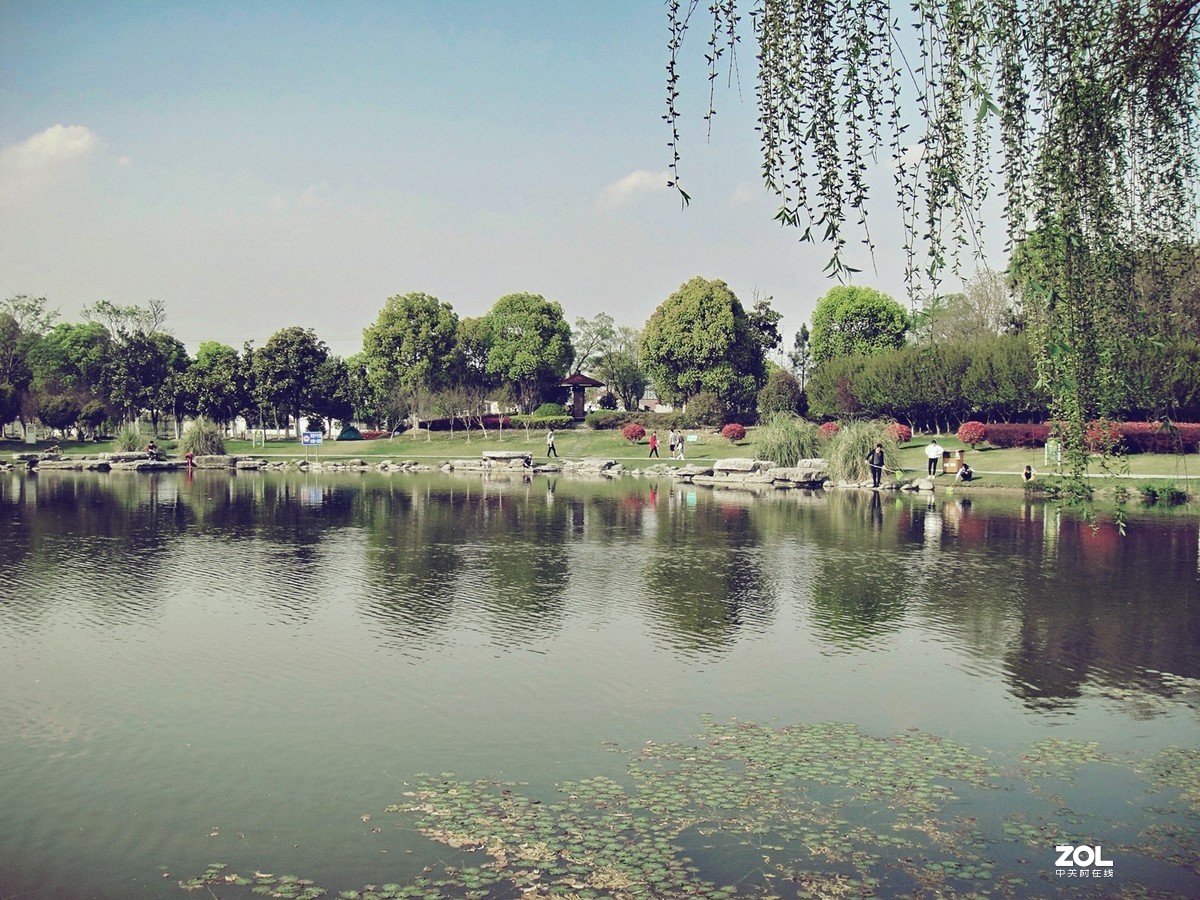 退出器材党，用手机党不屑的卡片老机扫景