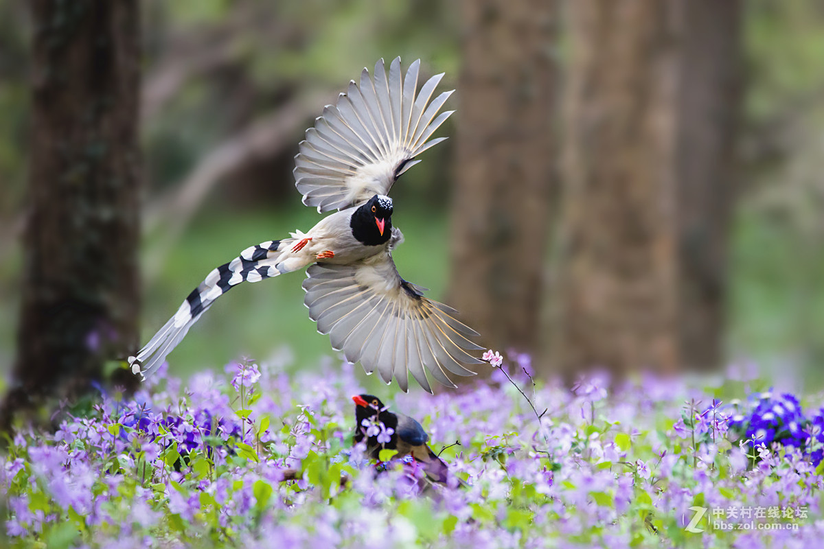 #版主坐堂# 【南京星空(中国)】2016年3月部分优秀作品欣赏