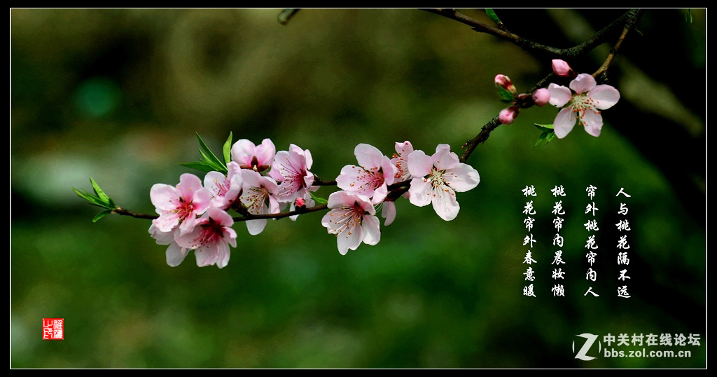 #版主坐堂# 【南京星空(中国)】2016年3月部分优秀作品欣赏