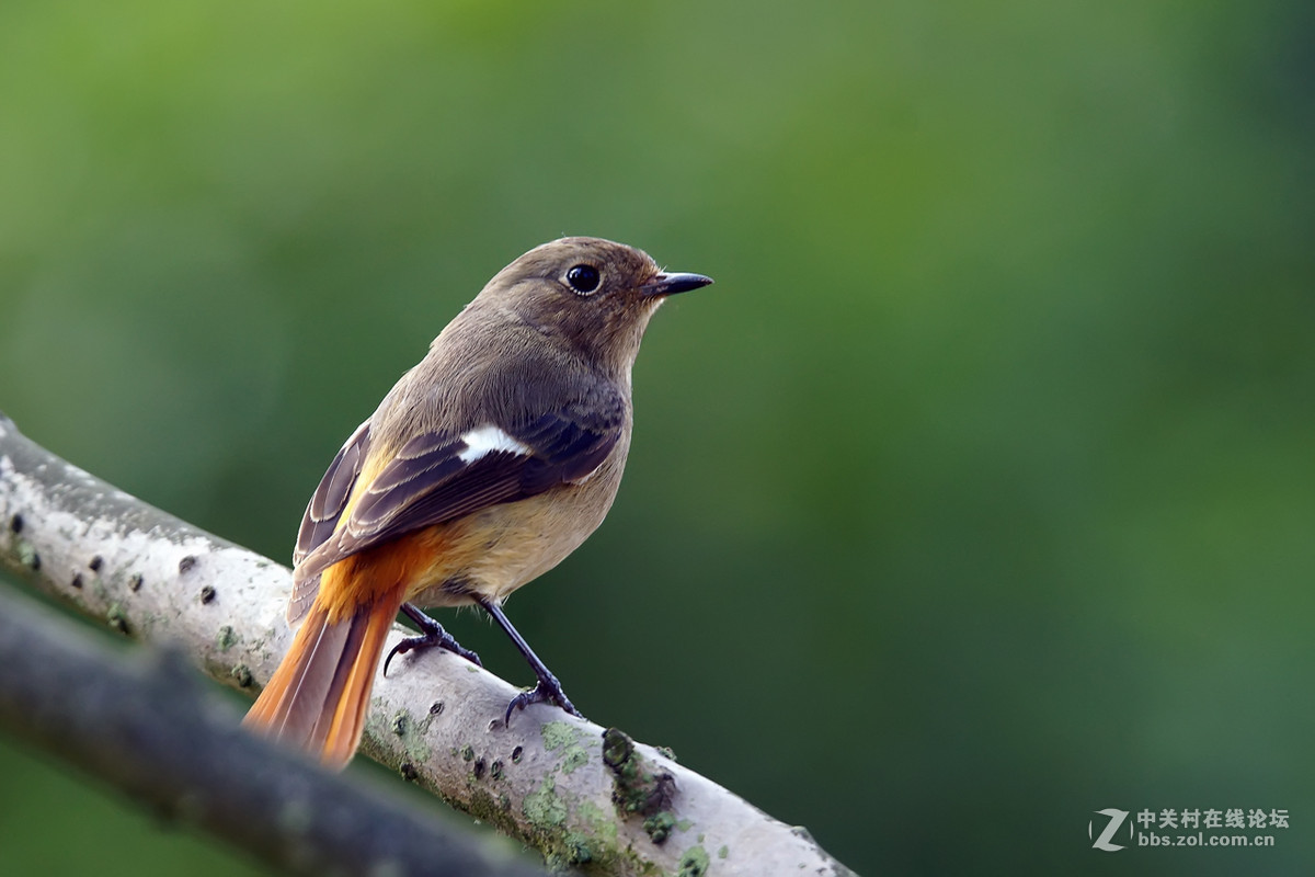 #版主坐堂# 【南京星空(中国)】2016年3月部分优秀作品欣赏