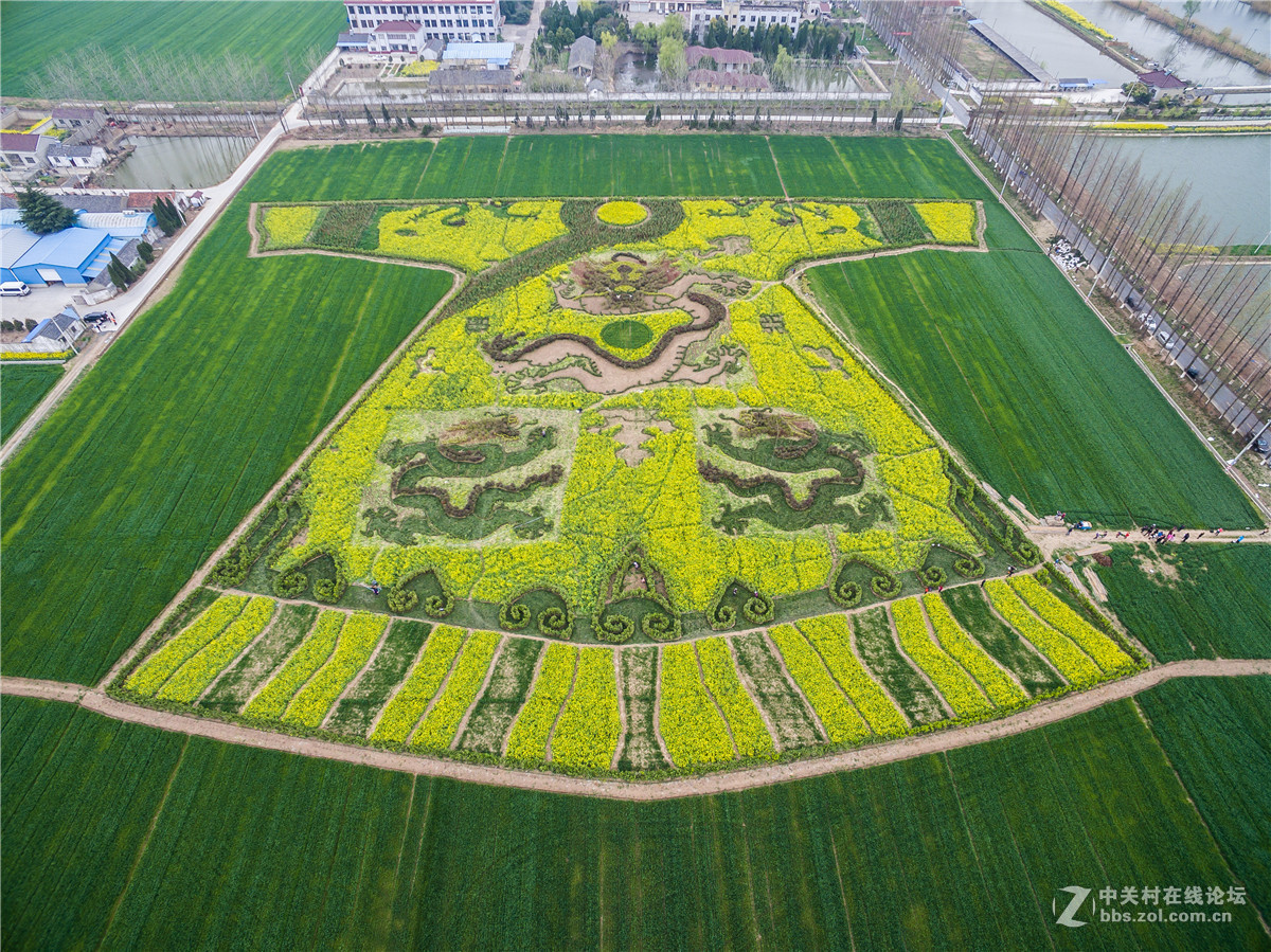 #版主坐堂# 【南京星空(中国)】2016年3月部分优秀作品欣赏