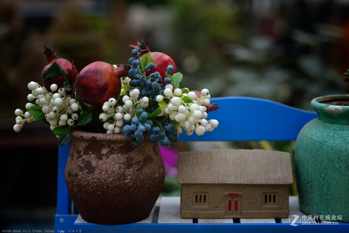 那些花儿（旭中冰雪）
