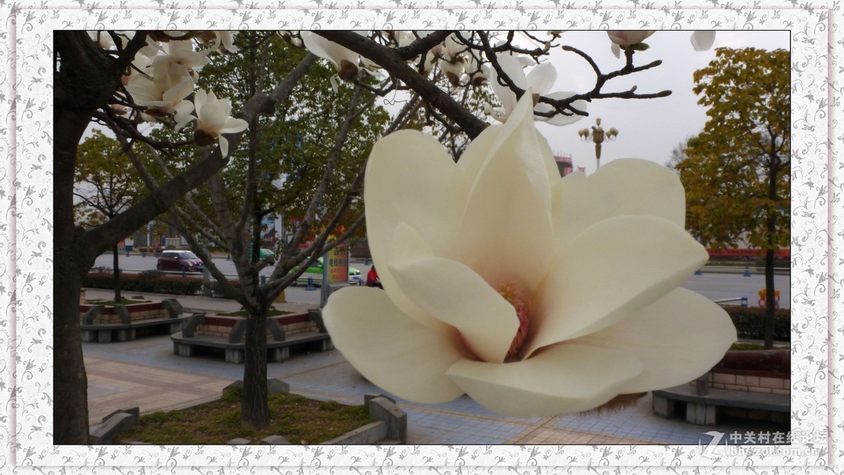 小8的遐想（抓拍生活照）