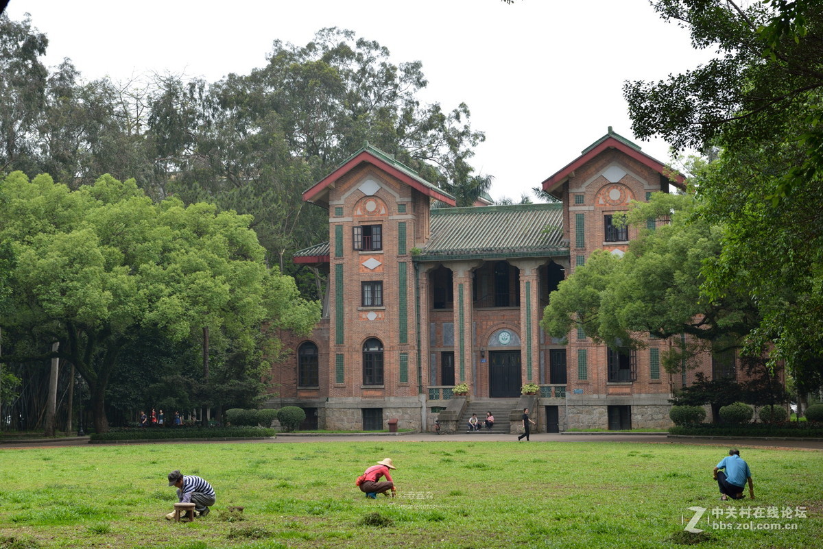 春满校园--中山大学-中关村在线摄影论坛