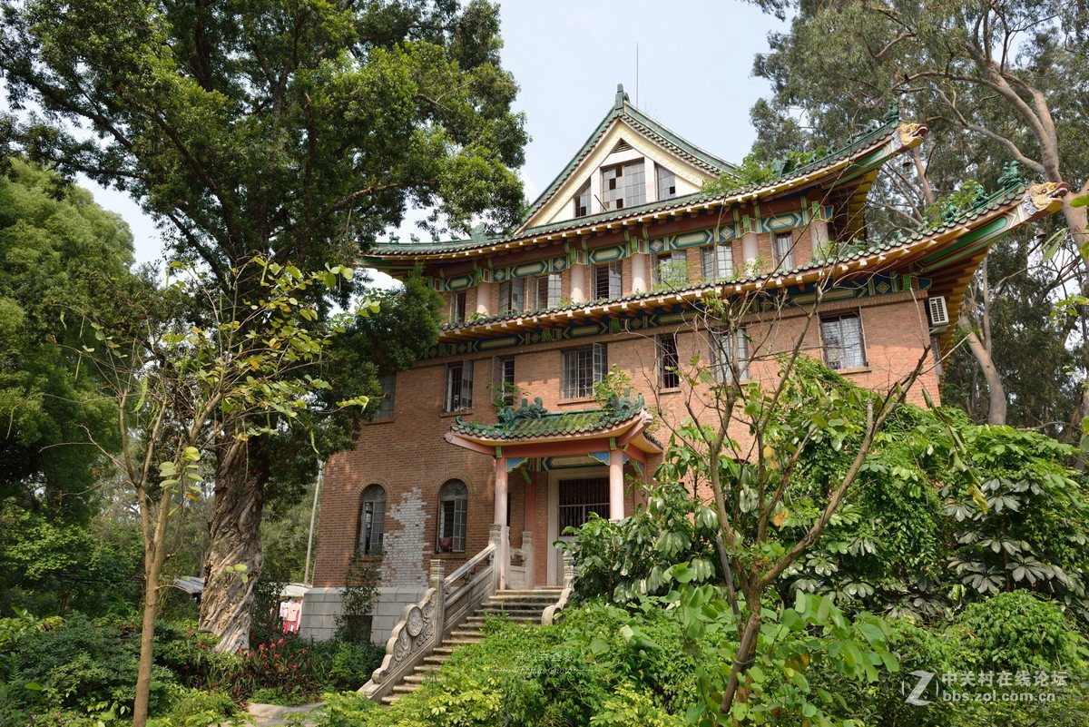 春满校园--中山大学-中关村在线摄影论坛