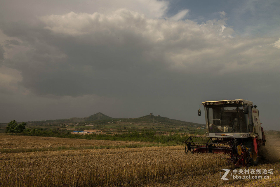 麦收时刻    2