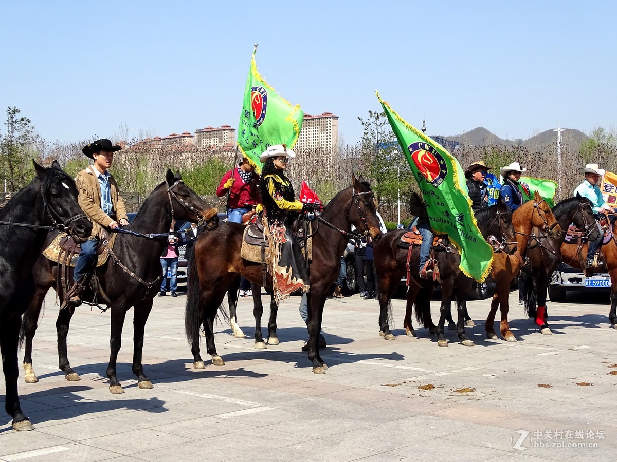 【马术开营仪式】和【名犬中国冠军展】