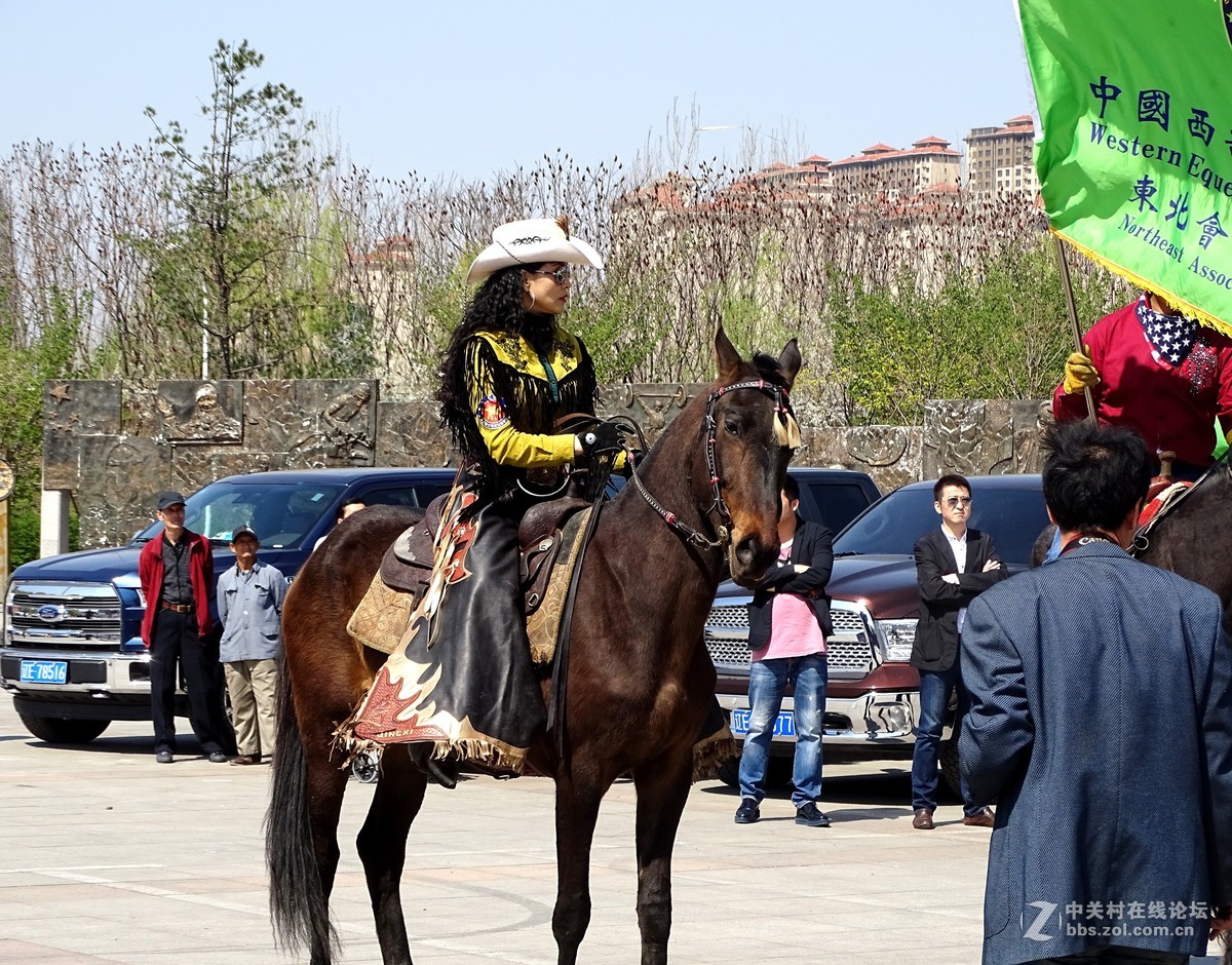 【马术开营仪式】和【名犬中国冠军展】