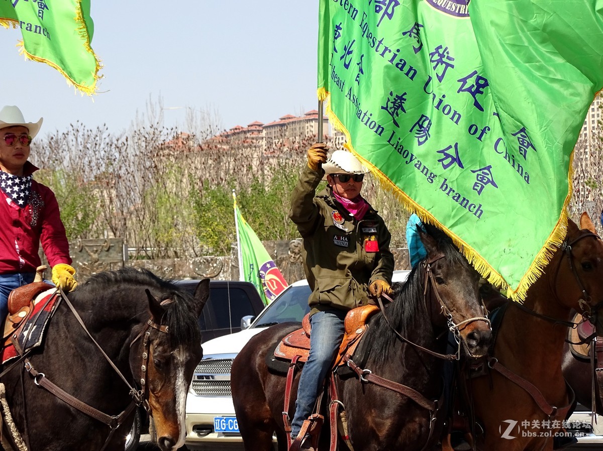 【马术开营仪式】和【名犬中国冠军展】