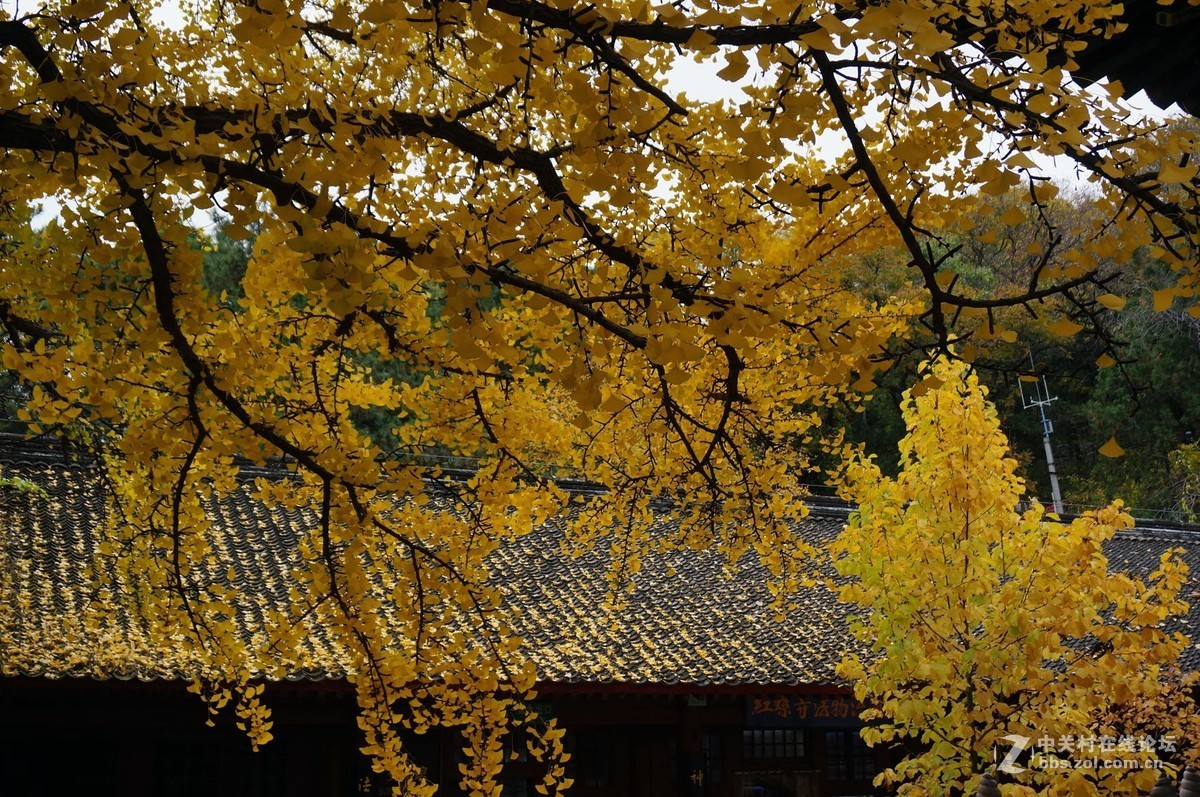 红螺寺