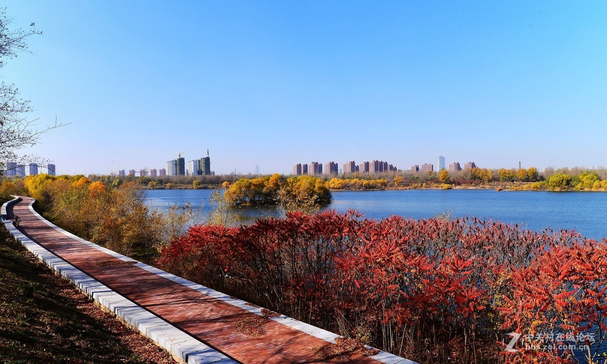 秋天景色美不胜收
