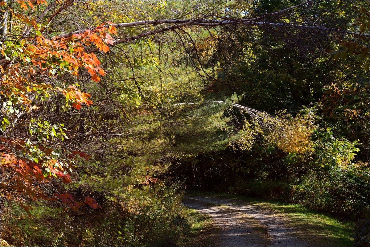 休闲随拍（380）