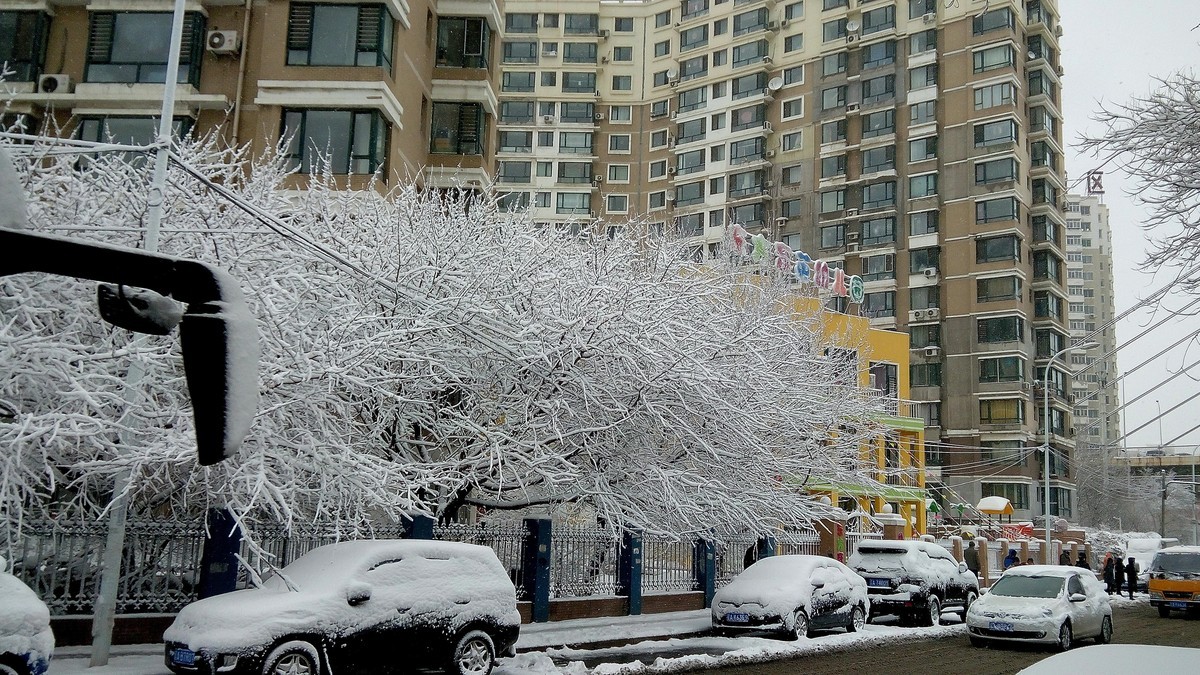 昨天（2018年3月15日）沈阳降雪约10厘米