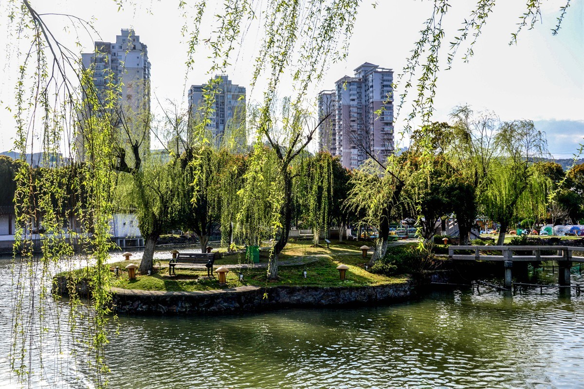 春风杨柳万千条