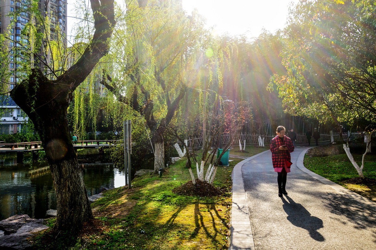 春风杨柳万千条