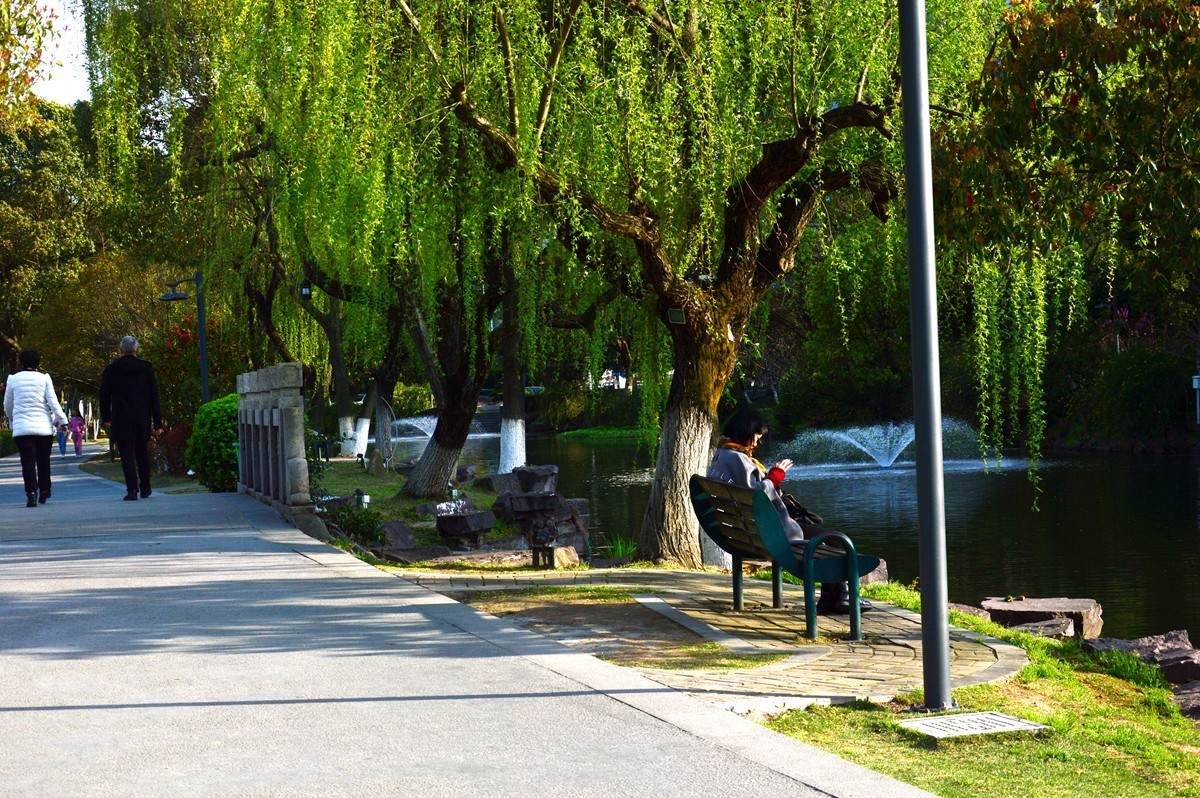 春风杨柳万千条