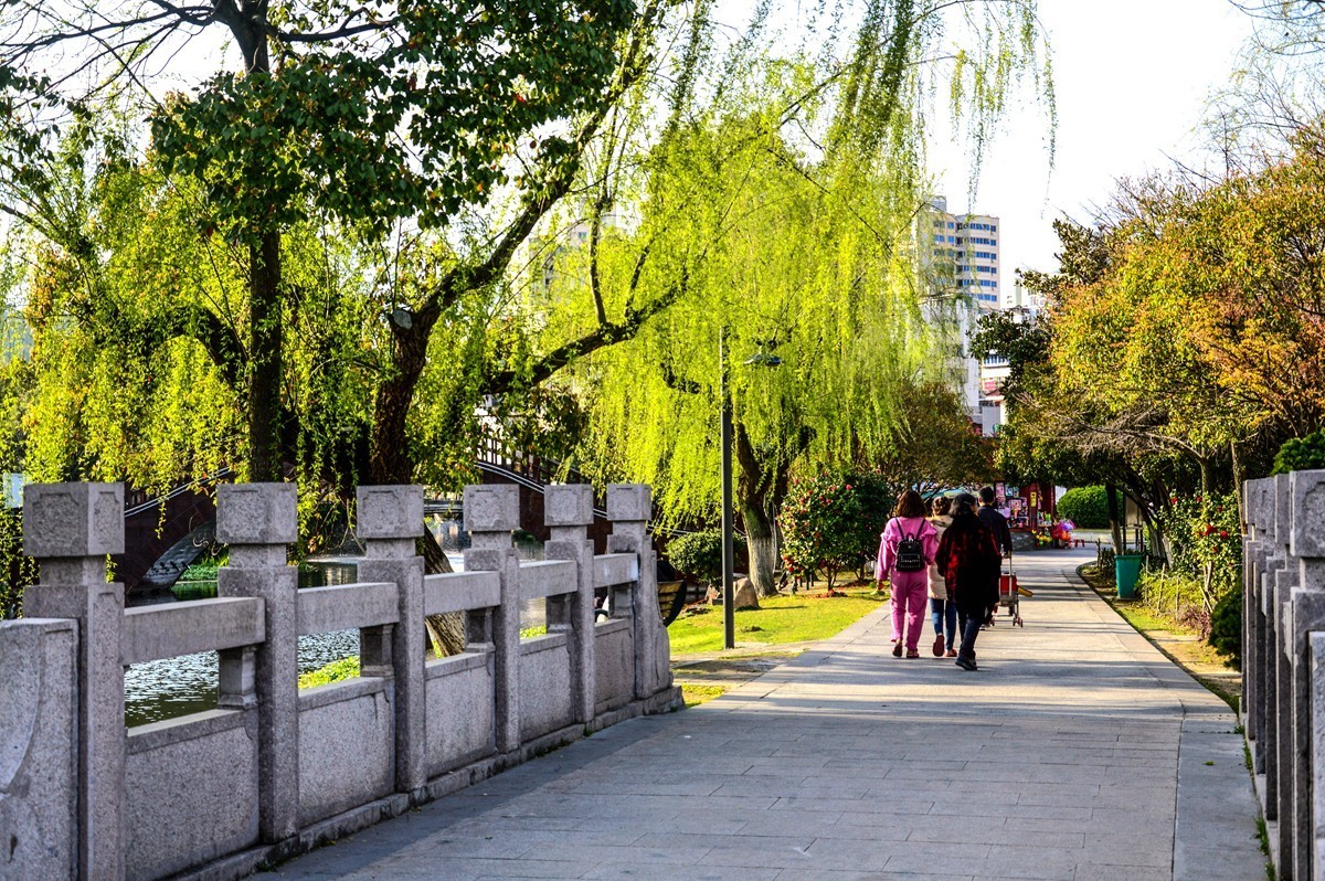 春风杨柳万千条