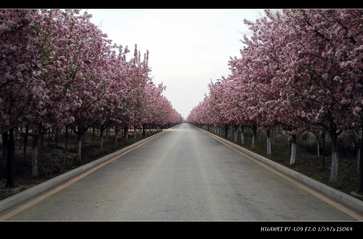 #版主坐堂# 《手机摄影星空(中国)》2018年5月优秀作品选编
