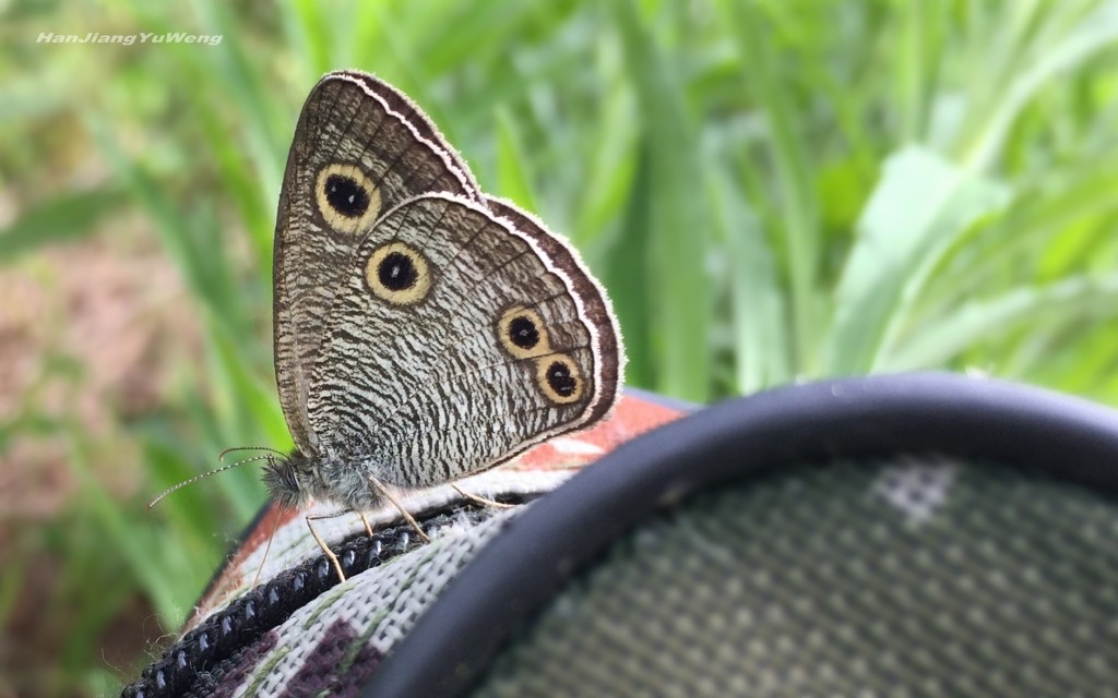 #版主坐堂# 《手机摄影星空(中国)》2018年5月优秀作品选编