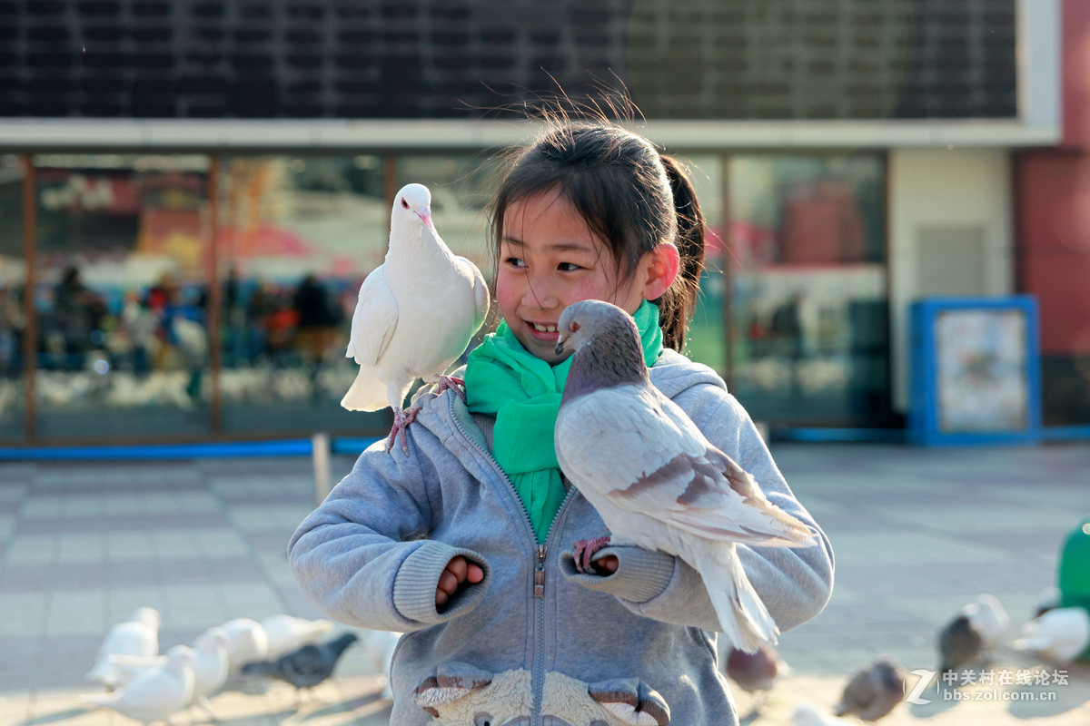 童趣兰州中央广场喂鸽子的小朋友