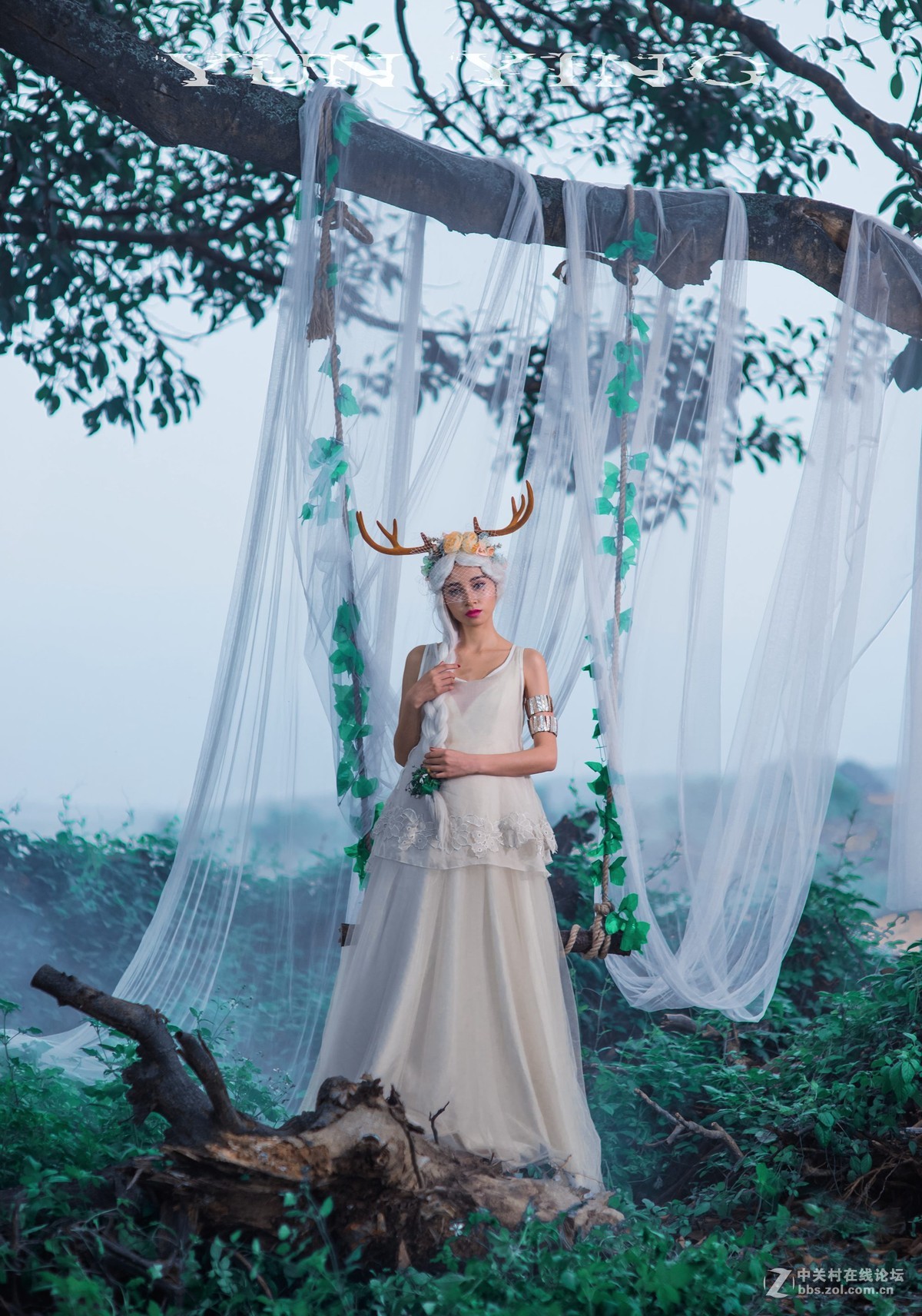 迷 鹿 【YUN影作品】