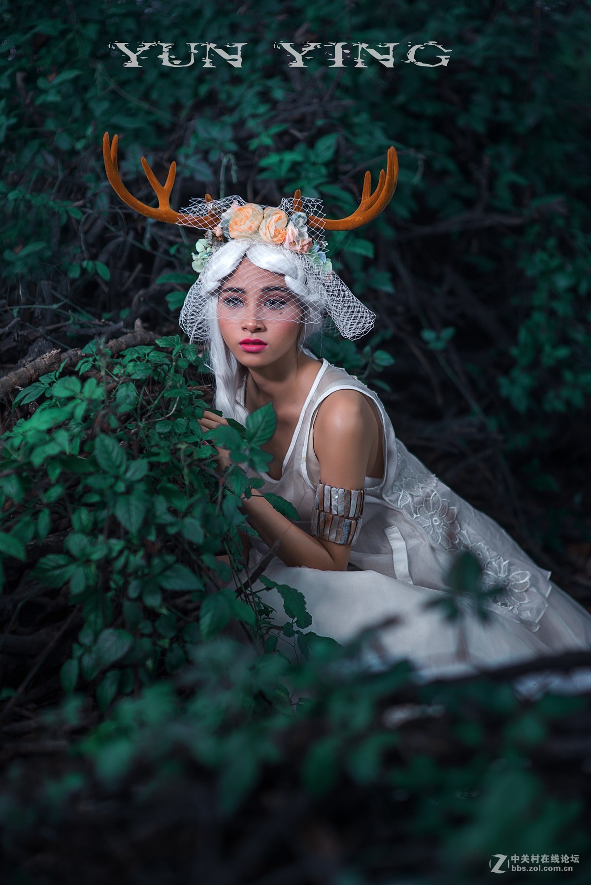 迷 鹿 【YUN影作品】