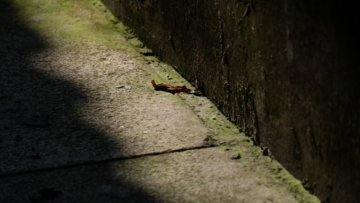 即将消失的街巷