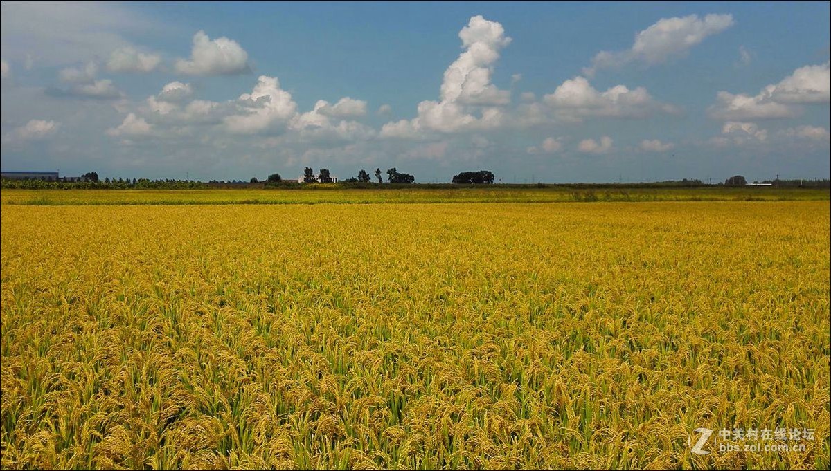 休闲随拍（353）