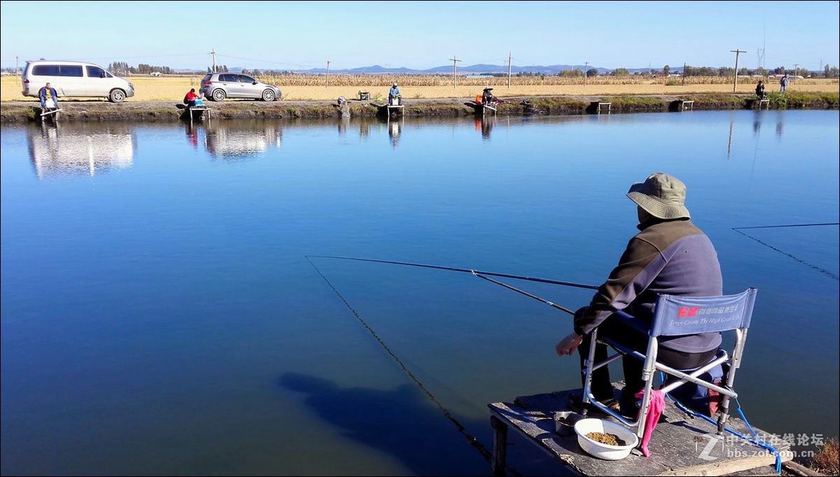 休闲随拍（353）