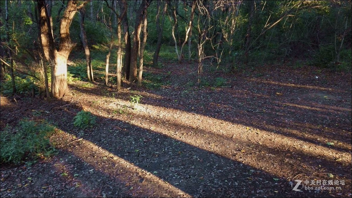 休闲随拍（353）