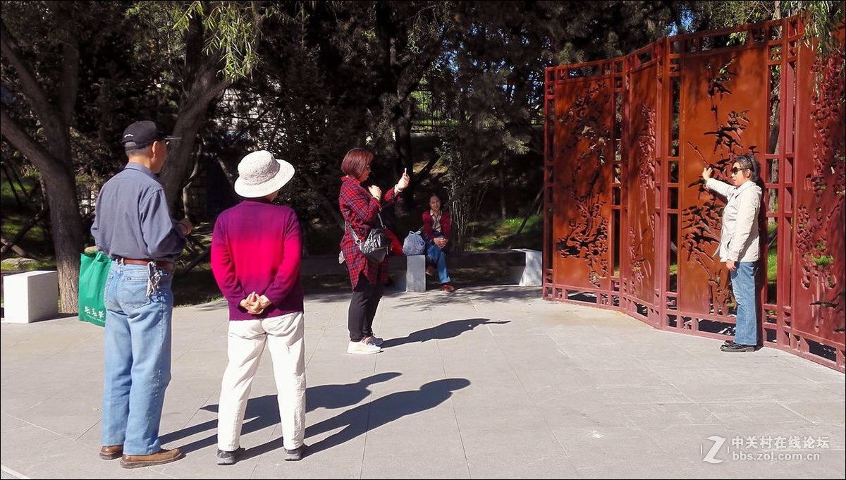 休闲随拍（353）