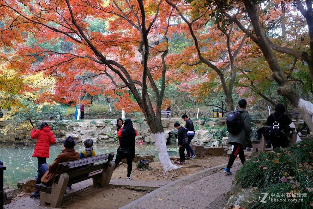 虞山公园秋景