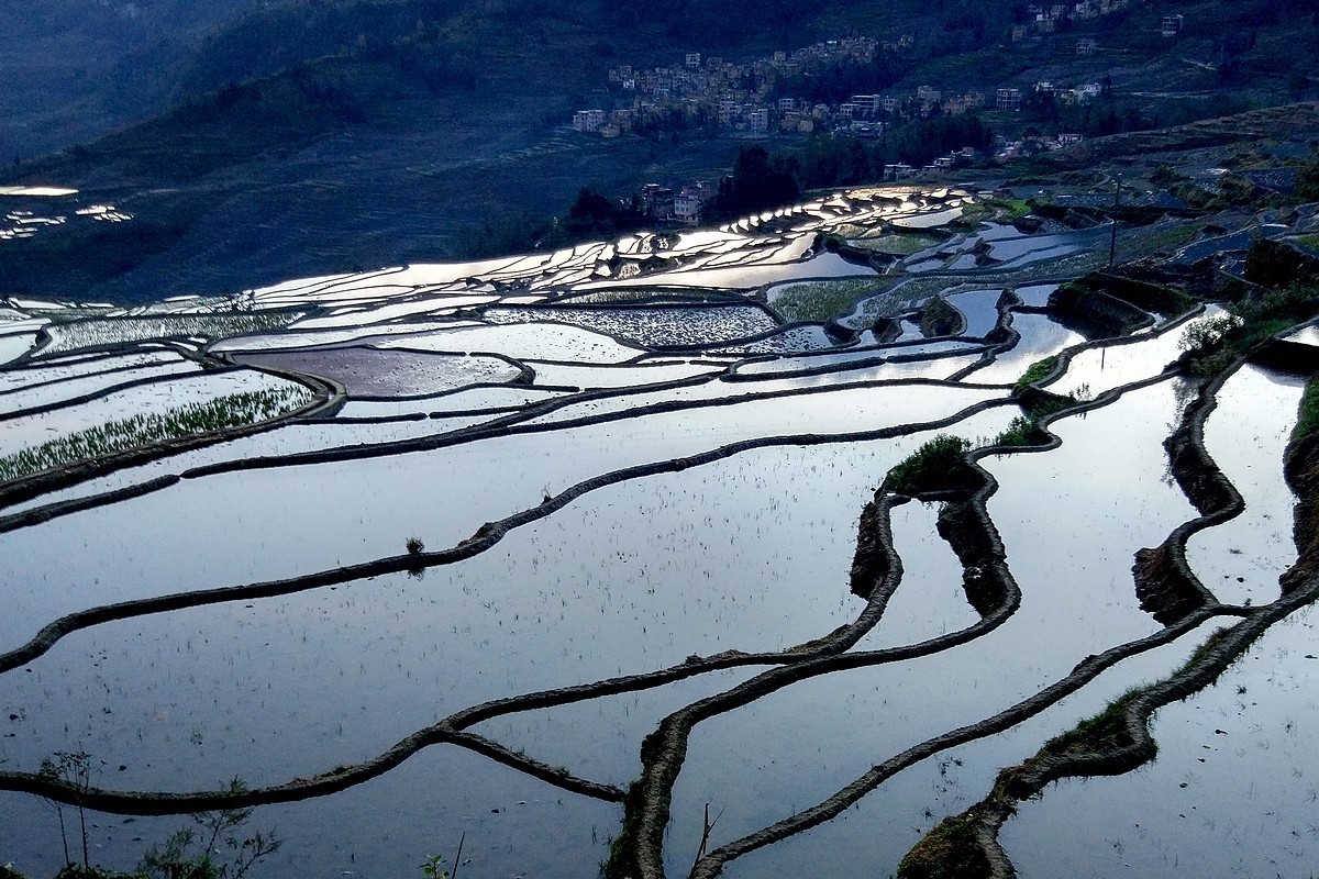 米5——元阳梯田（1）