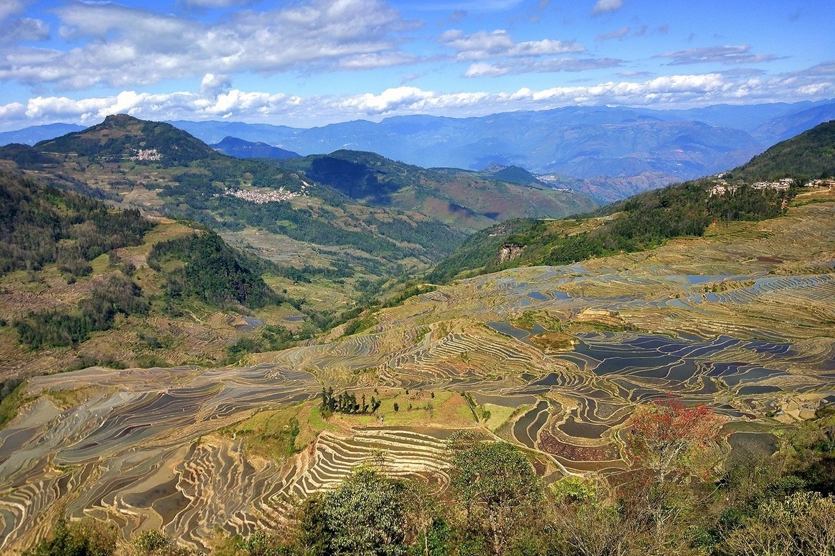 米5——元阳梯田（1）