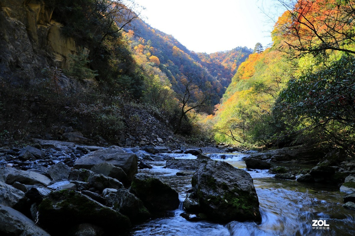 秋拍千层河《2》