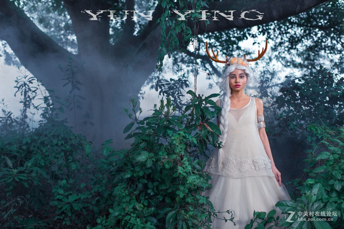 迷 鹿 【YUN影作品】
