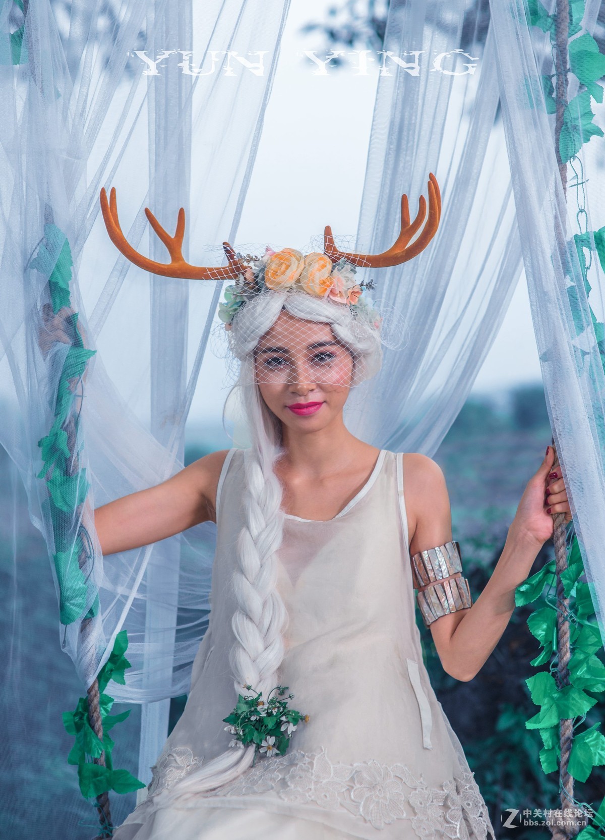 迷 鹿 【YUN影作品】