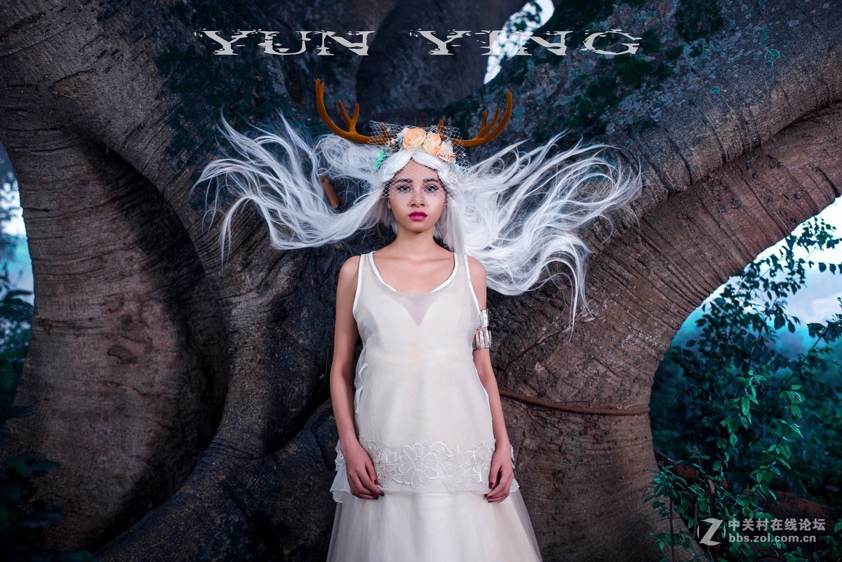 迷 鹿 【YUN影作品】