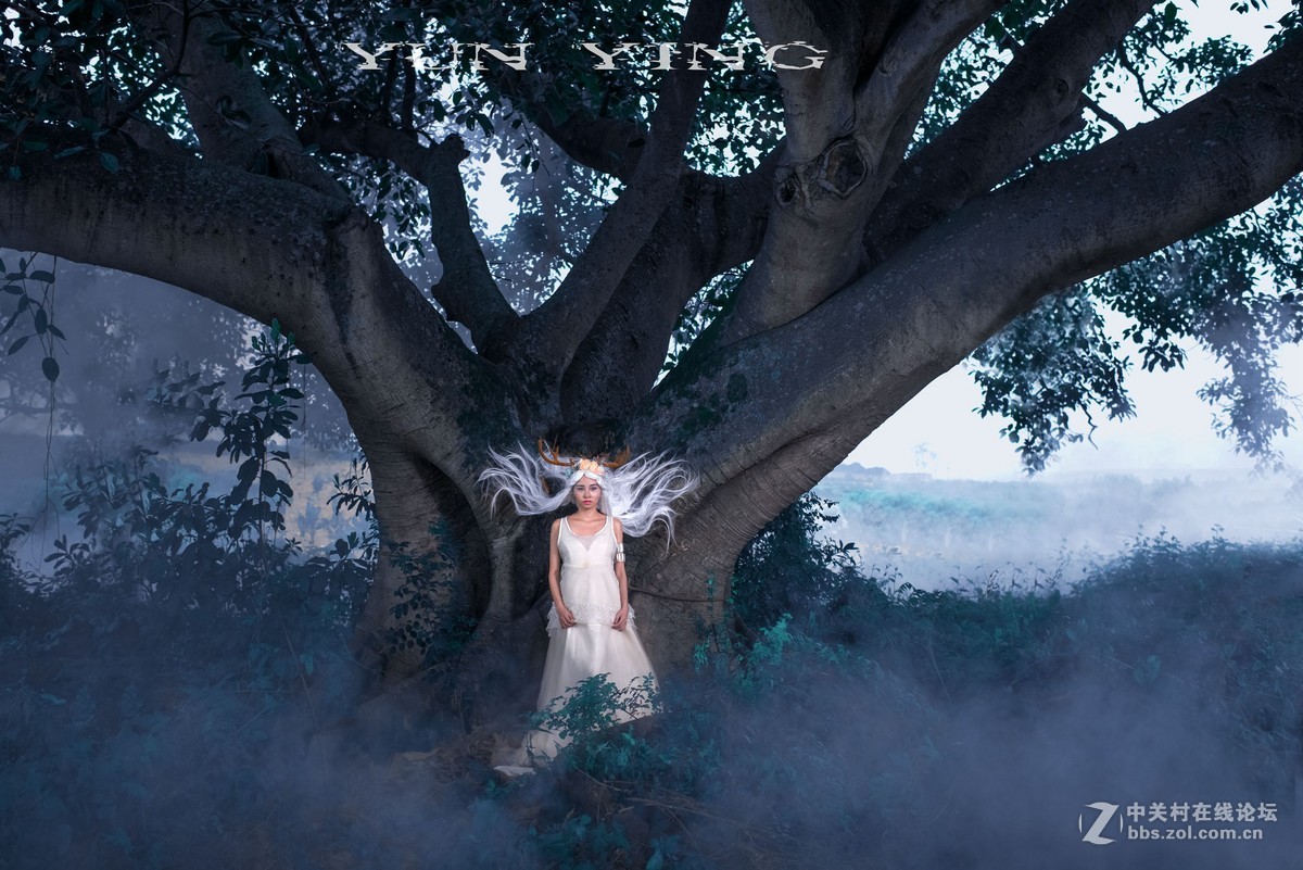 迷 鹿 【YUN影作品】