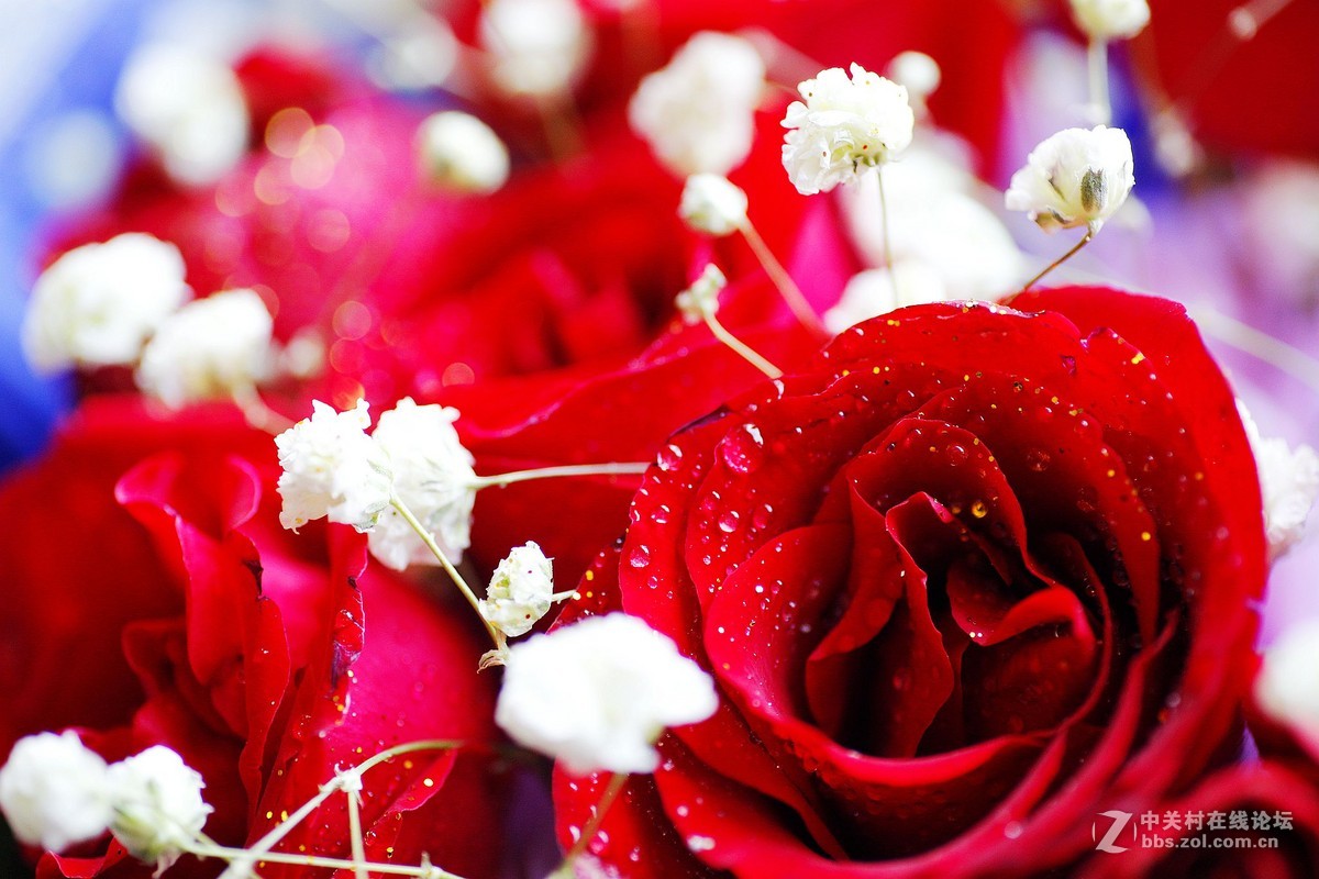 刚刚入手的5D2试拍