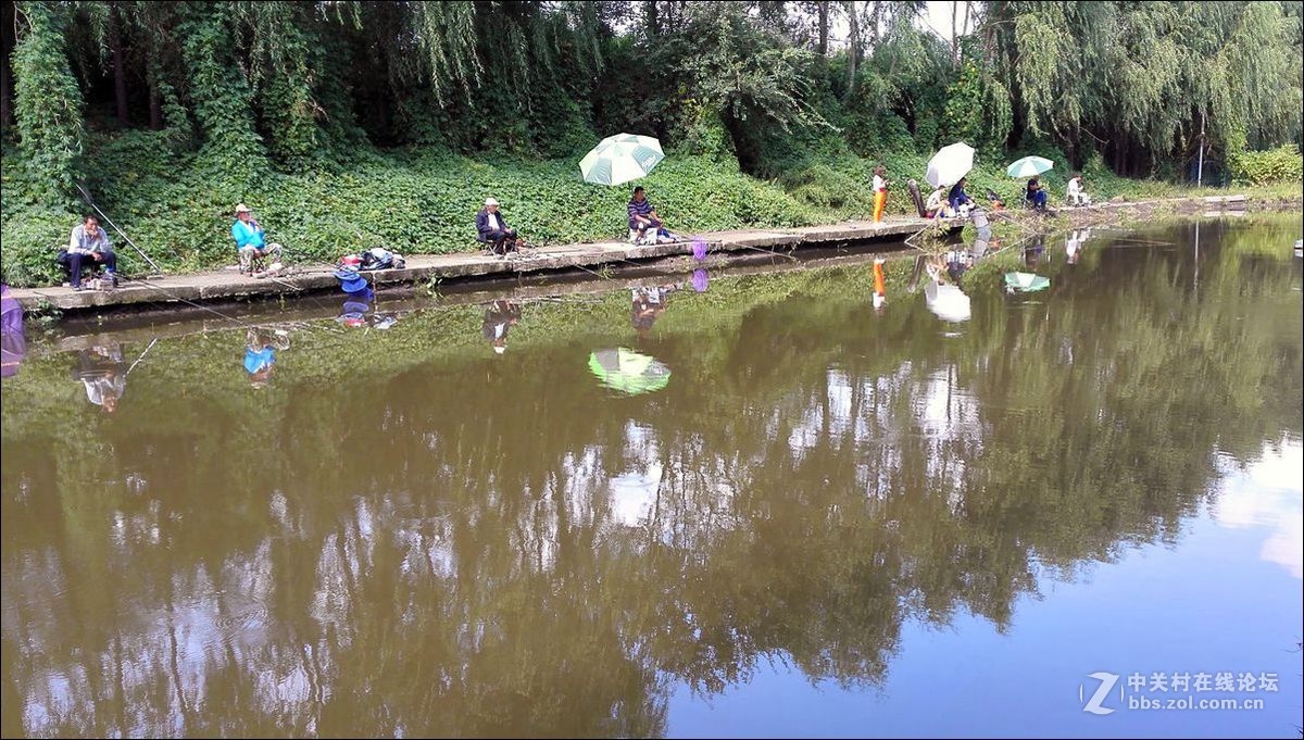 休闲随拍（353）