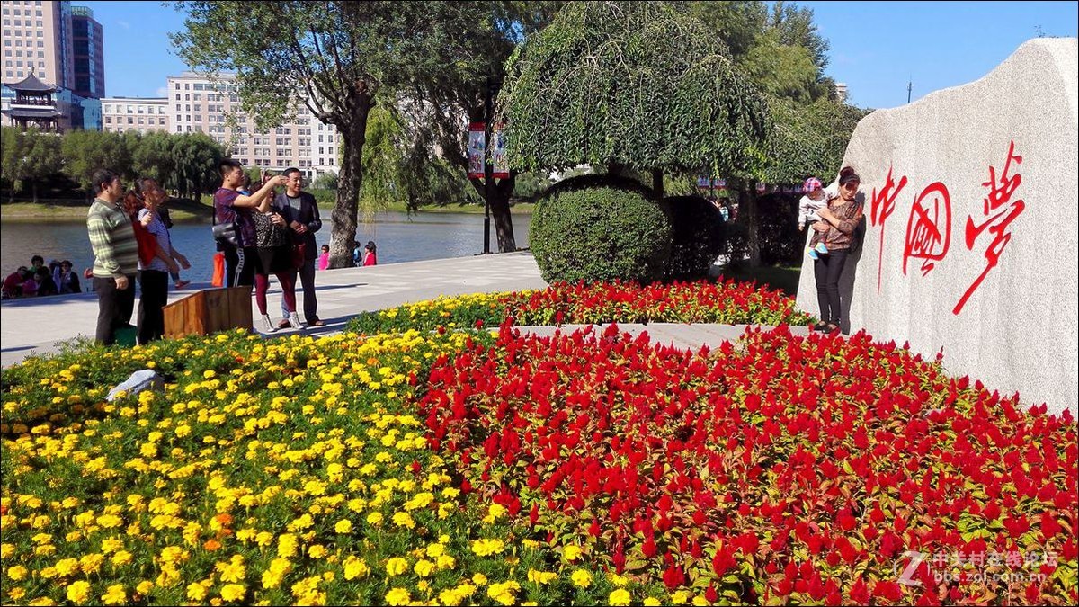 休闲随拍（353）