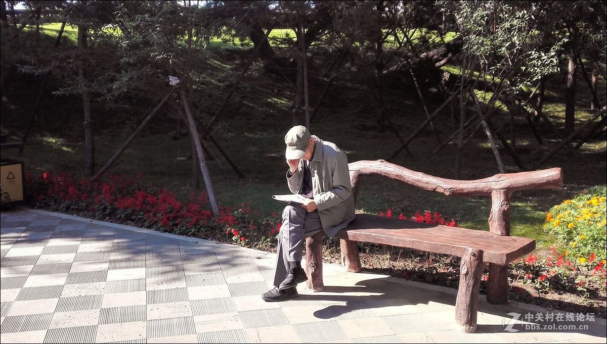 休闲随拍（353）