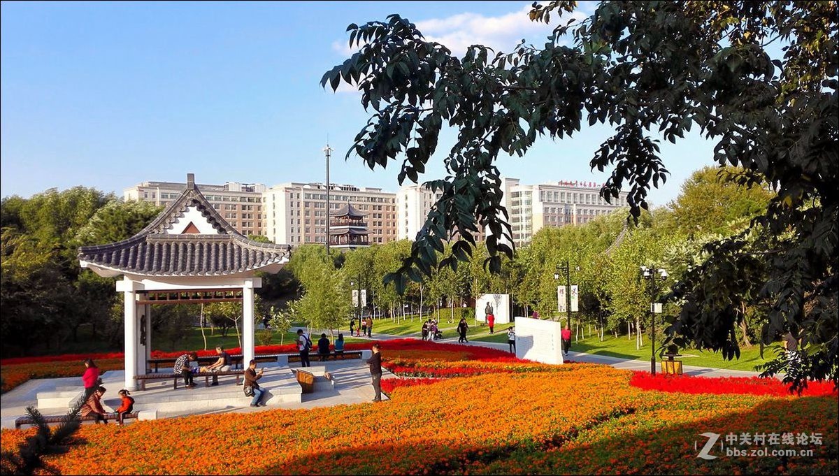 休闲随拍（353）