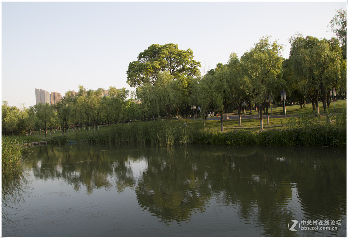 夕阳西下的暨阳湖公园