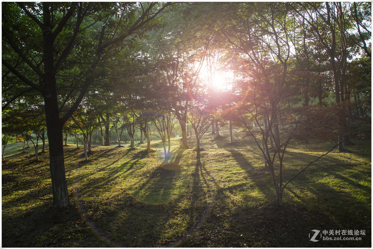 夕阳西下的暨阳湖公园