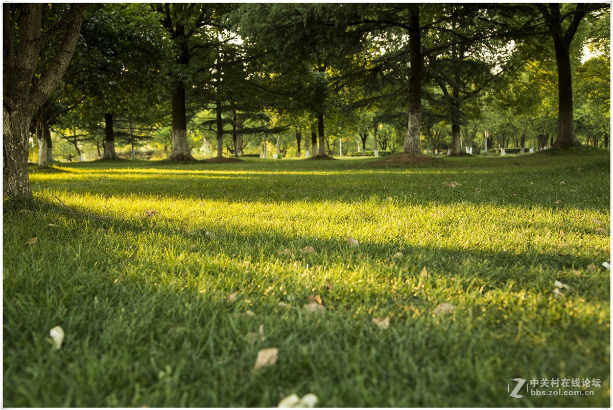 夕阳西下的暨阳湖公园