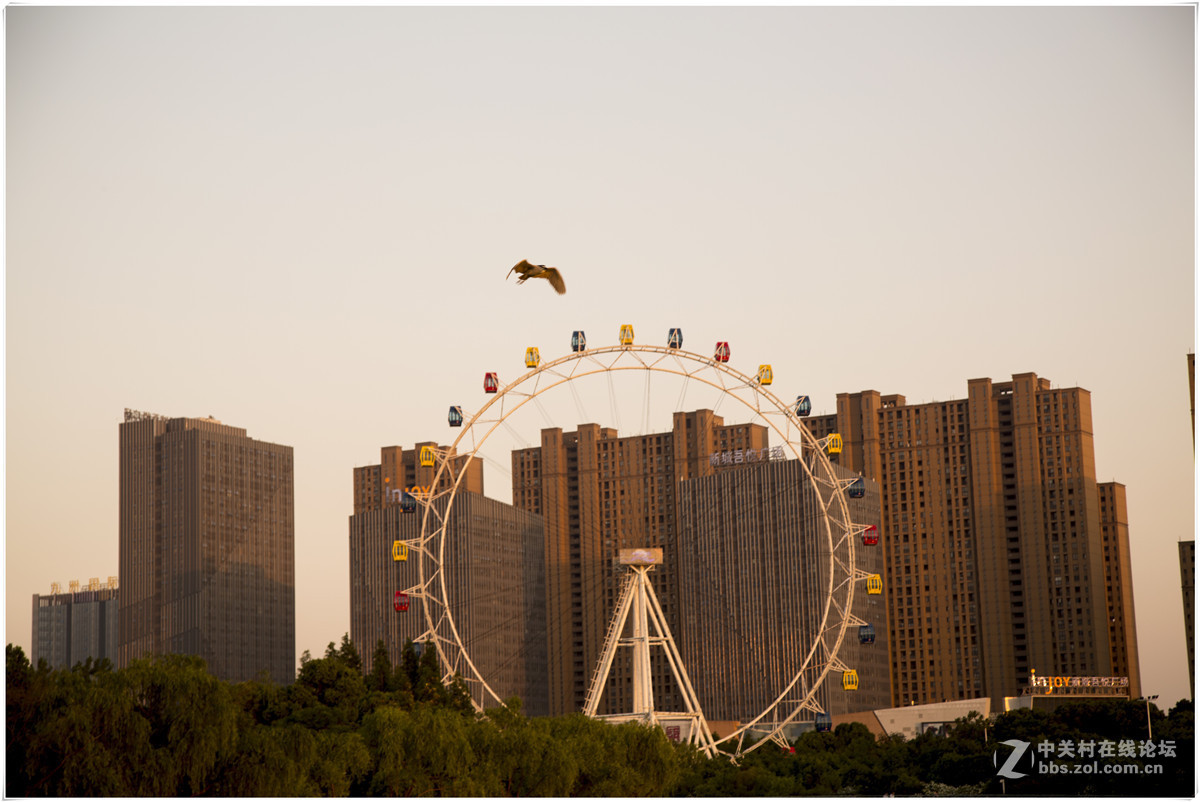 夕阳西下的暨阳湖公园